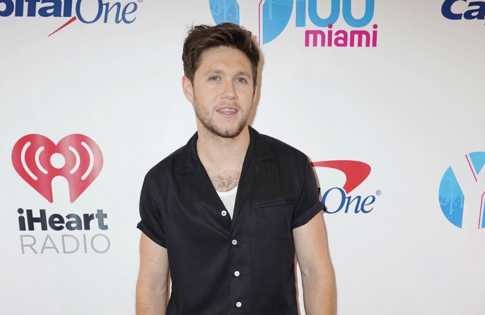 Niall Horan Fears For The Future Of The Arts Industry