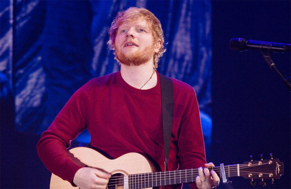 Ed Sheeran Plants A Forest On His Suffolk Estate