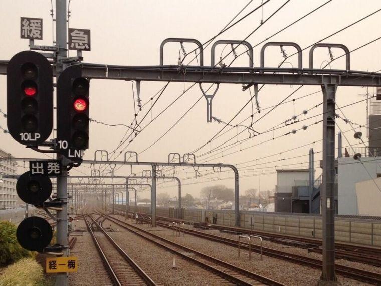 Article With Child Image & Collection Assets # 3