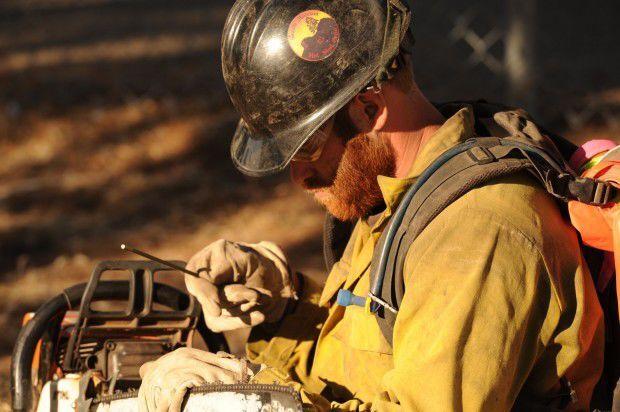 Article With Child Image & Collection Assets # 4