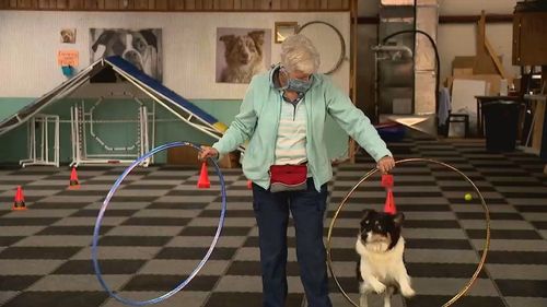Trainer Sends Therapy Dog Videos To Lift Spirits At Retirement Homes
