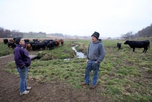 Slaughterhouse Bottleneck Chokes Farm To Table Connection