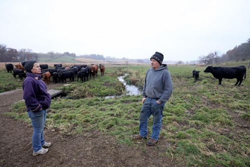 Slaughterhouse Bottleneck Chokes Farm To Table Connection