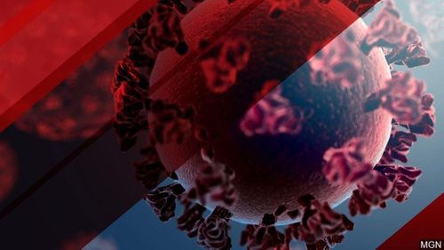 Officials Considering Scaling Back Reopening Phases After Seeing Rise In Covid Cases