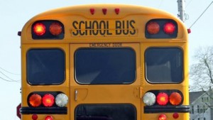 Toddlers Found Wandering Alone Near Road Rescued By Bus Driver