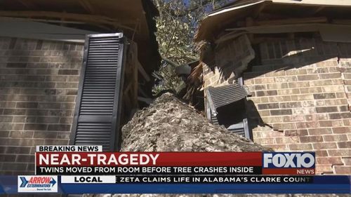 Twin 4 Year Olds Come Within 15 Minutes Of Collapsing Tree During Zeta