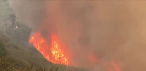 Officials Say Huge Fire Started Intentionally At Marijuana Grow