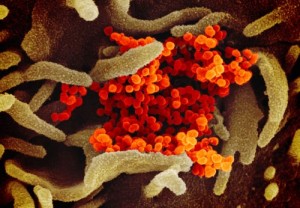 The Latest On The Coronavirus Pandemic