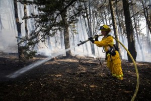 Authorities Worry High Winds, Dry Conditions Will Spread Northern California Wildfires This Weekend
