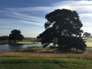 The Future Of Golf Could Be Shorter Than You Think