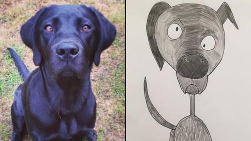 This Dad’s Adorably Amateurish Pet Portraits Have Raised Thousands For Charity