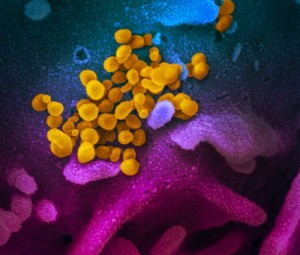 The Latest On The Coronavirus Pandemic