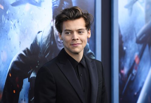 Harry Styles Sounds Like An Ideal Housesitter
