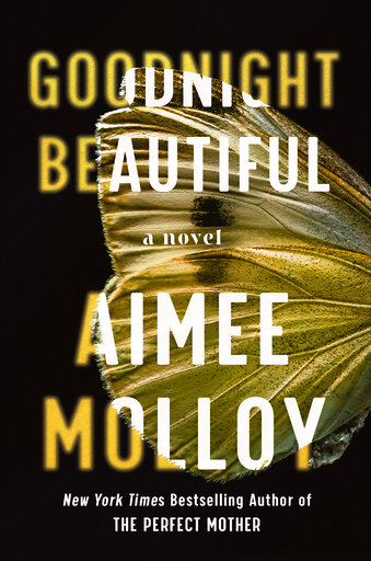 Review: New Thriller Tweaks The `unreliable Female Narrator’