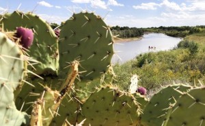 Much Of U.s. Southwest Left Parched After Monsoon Season