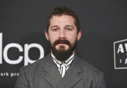 Shia Labeouf Charged With Misdemeanor Battery, Petty Theft