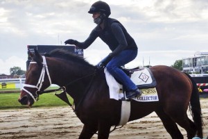 Art Collector Is Biggest Threat To Authentic In Preakness