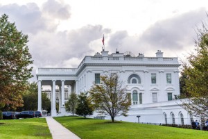 Ap Explains: What Happens If A Candidate For President Dies?