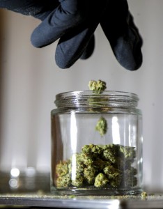 Election Could Stoke Us Marijuana Market, Sway Congress