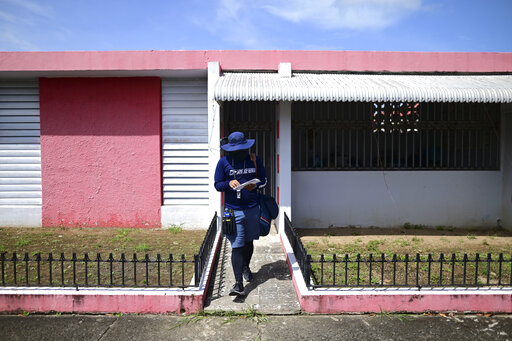 Navigating By Mango Trees, Pink Houses In Rural Puerto Rico