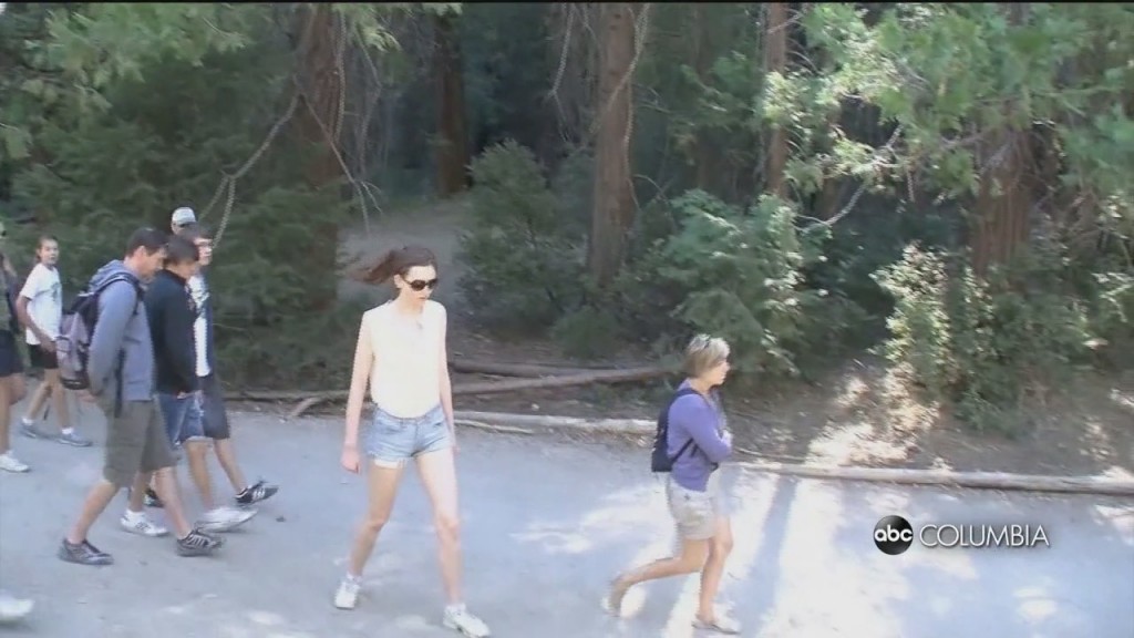 National Park Entrance Fees Permanently Waived For Veterans And Gold Star Families