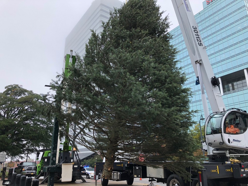 State Christmas Tree Set To Arrive Monday At State House