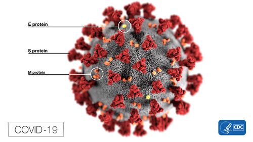 A New Test Might Be Better At Detecting Past Coronavirus Infection, Study Finds