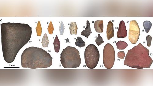 Prehistoric Hunters Weren’t All Male. Women Killed Big Game, New Discovery Suggests