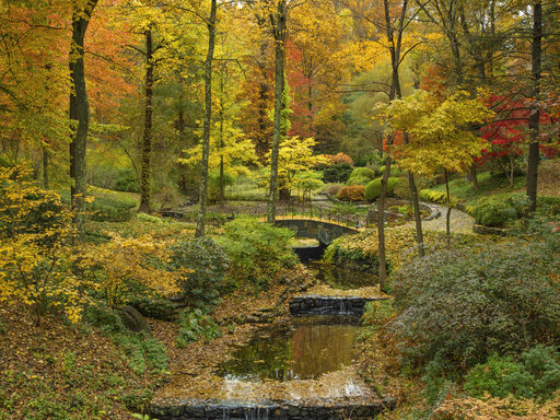 Colder Months Can Be Perfect Time To Photograph Gardens