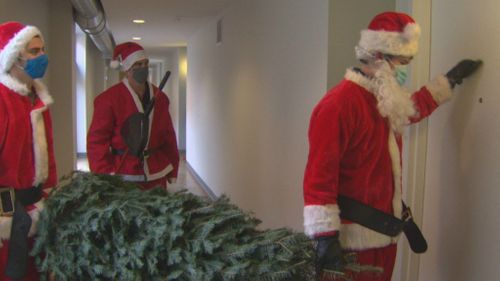 Startup Delivers Christmas Trees And Holiday Spirit During Pandemic