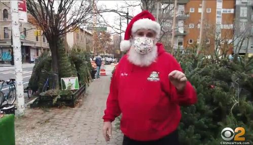 Man Leads Rewarding And Giving Life As Special Ed Teacher And Christmas Tree Seller