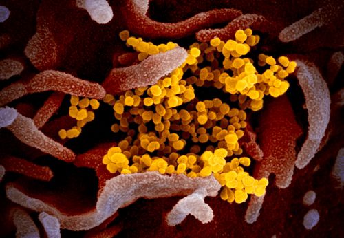 The Latest On The Coronavirus Pandemic And Vaccines
