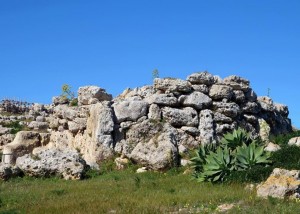 Dinosaur Fossils Found In Argentina Could Belong To The World’s Largest Ever Creature