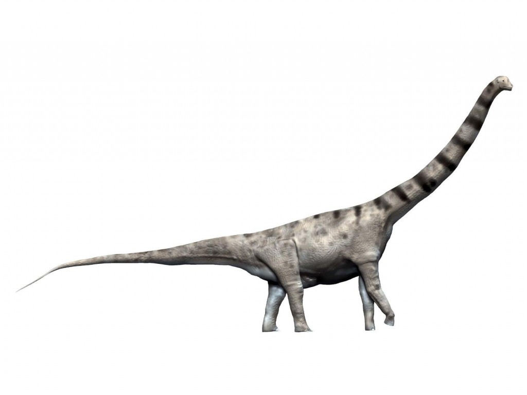 Dinosaur Fossils Found In Argentina Could Belong To The World’s Largest Ever Creature