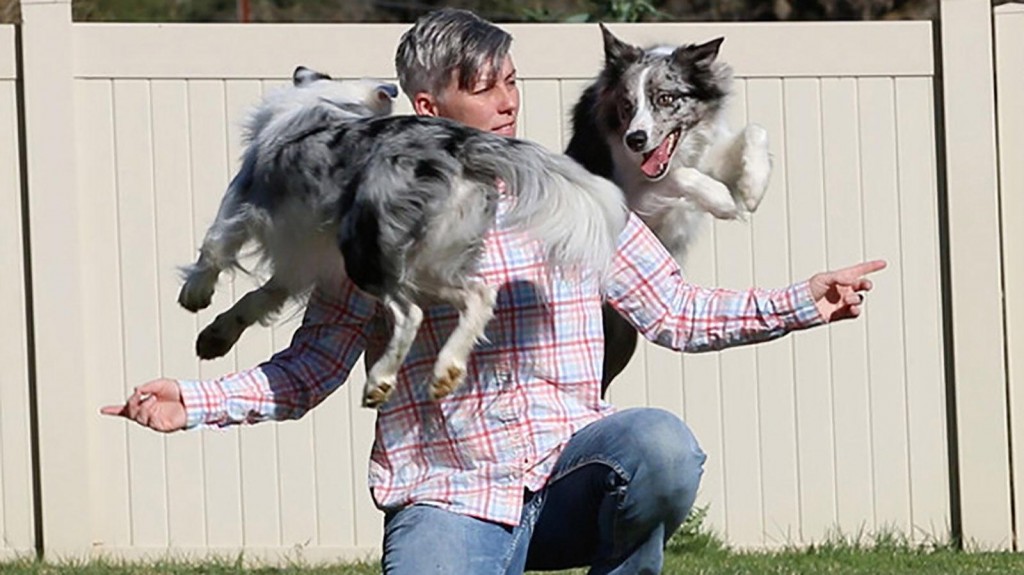 Two California Dogs Set Record For Most Tricks Performed In A Minute