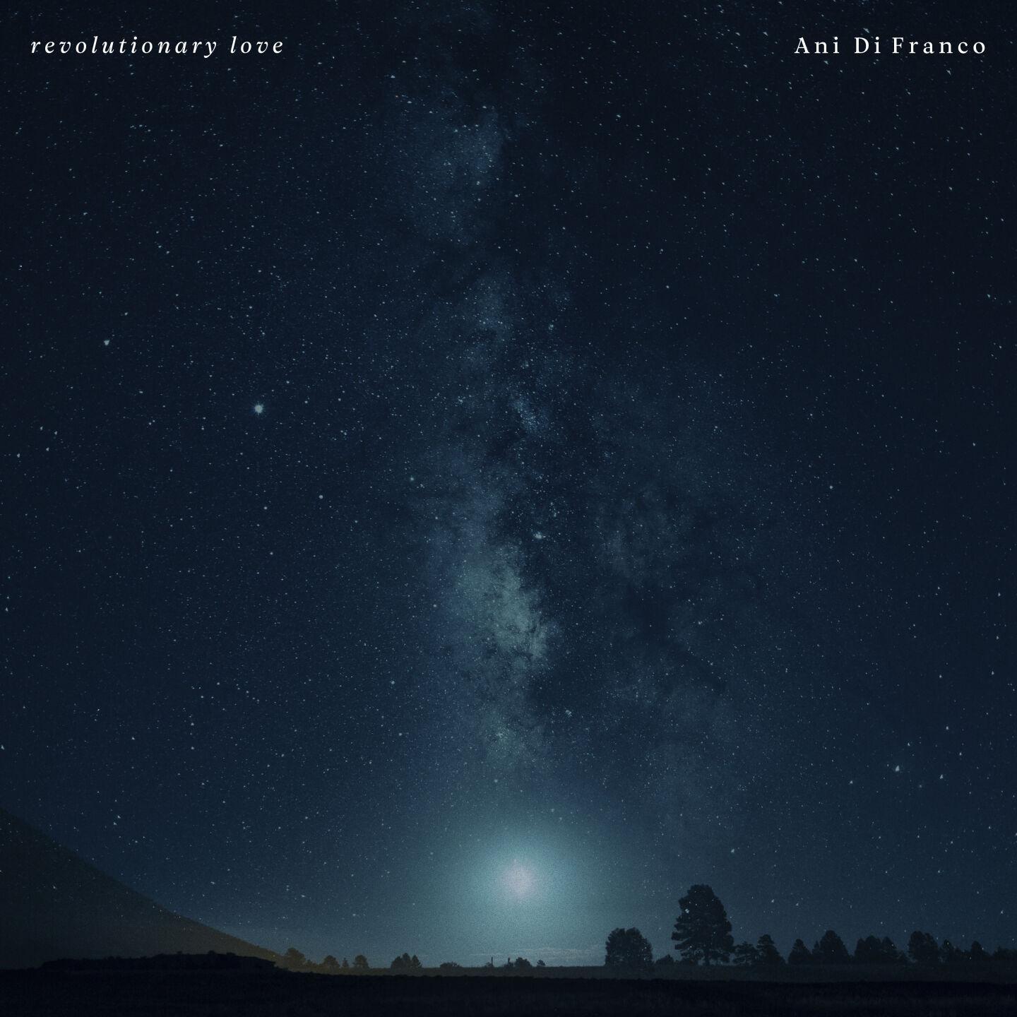 Review: Ani Di Franco Makes The Political Personal On Album