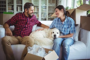 Moving With Your Furkid? Be Sure To Plan Ahead!