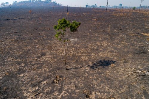 Almost Two Thirds Of People Believe Climate Change Is A Global Emergency, Un Poll Finds