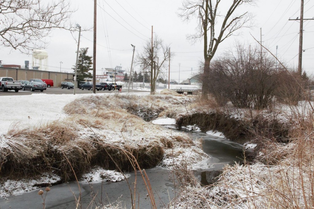 Isu’s School Of Biological Science Looks To Restore Sugar Savanna Creek For All Living Things
