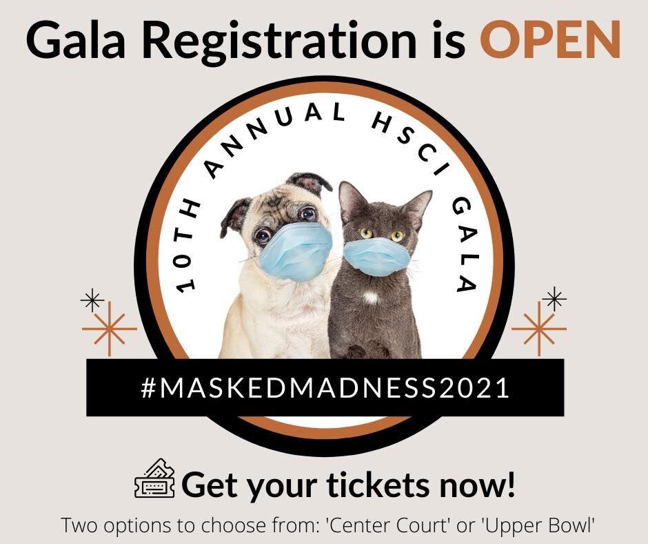 Paws Itively Priceless: Humane Society To Hold Virtual Charity Auction