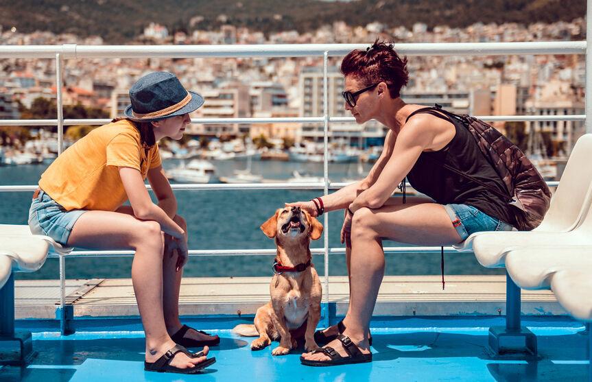 All Paws Aboard! Canine Cruises To Bark About