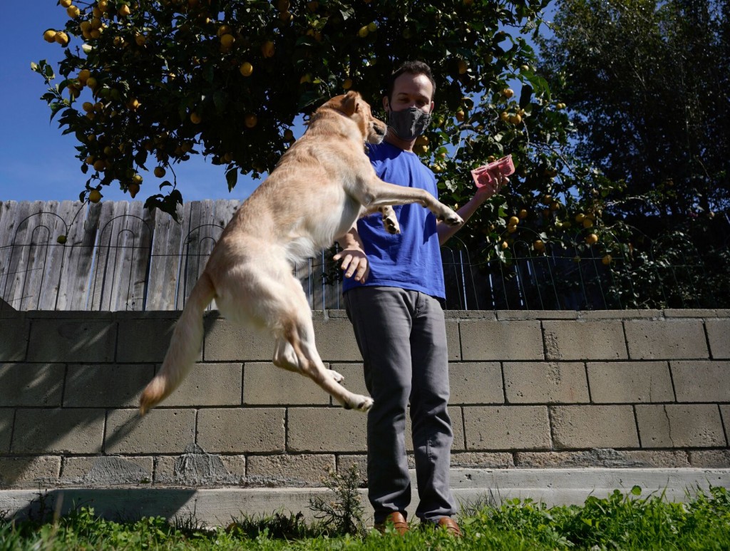 How Owning Pets Can Lead To A Healthier Lifestyle