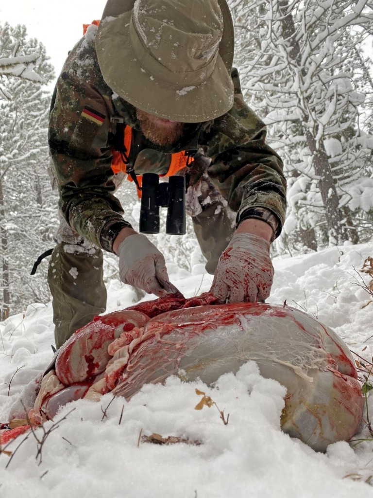 Pursuing Wild Protein Consumption: Wyoming Game And Fish Joins International Program