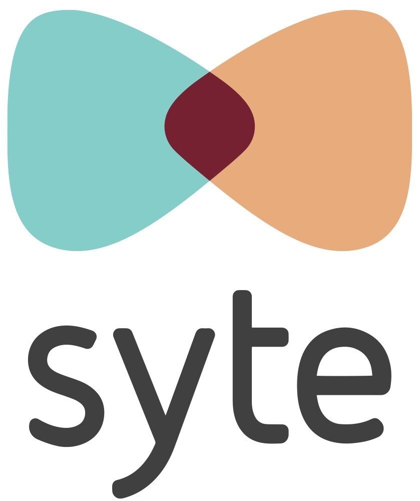 Syte Launches First Ai Powered Product Discovery Platform, Yielding 177% Increase In Ecommerce Conversion