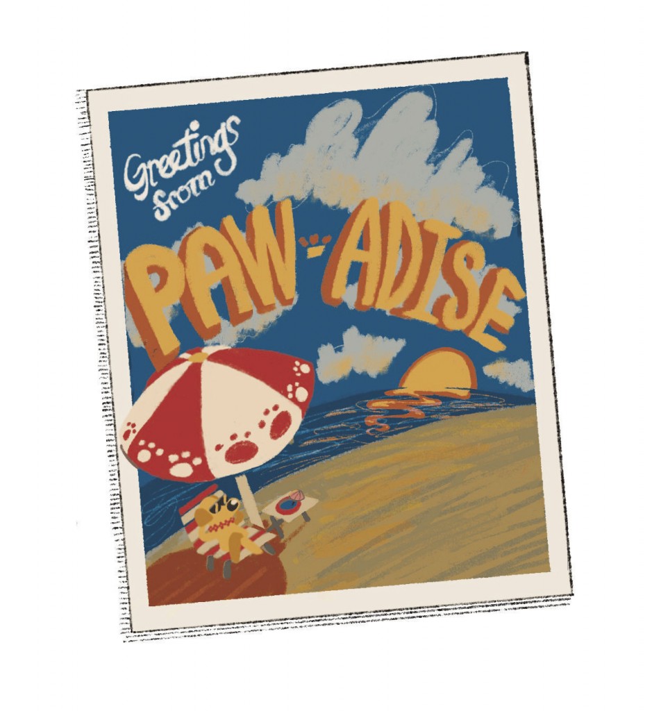 Greetings From Paw Adise: Planning A Pet Friendly Vacation