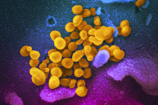Most Kids With Serious Inflammatory Illness Had Mild Covid