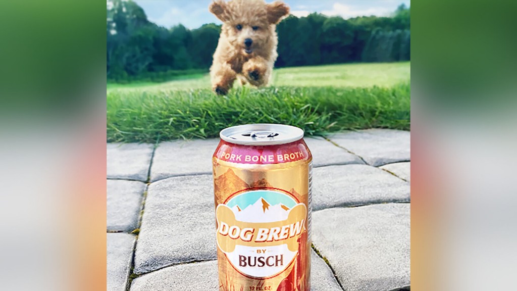 Busch Will Pay Your Pup $20,000 To Be Official Dog Brew Taster