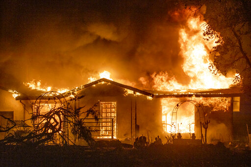 Regulators Rebuke Pg&e For Neglect In Reducing Wildfire Risk