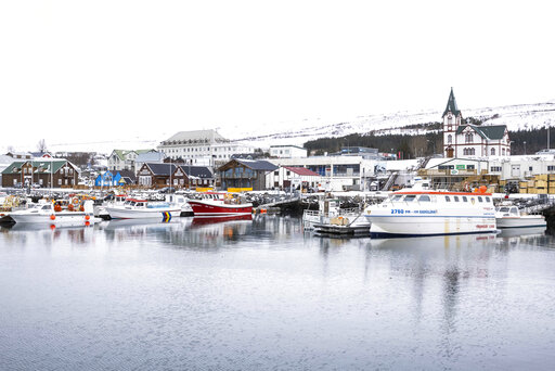 Small Icelandic Town Rallies Behind Oscar Nominated Song
