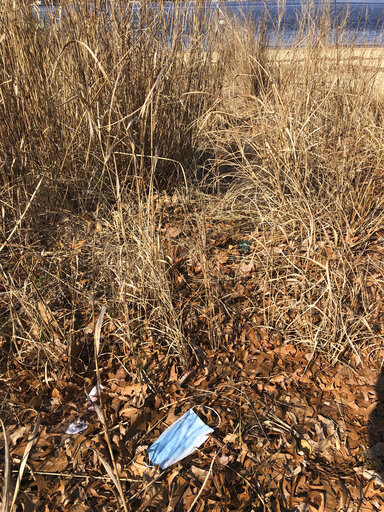 Discarded Masks Litter Beaches Worldwide, Threaten Sea Life